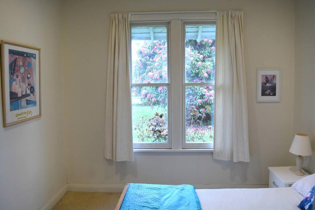 Riverlea Cottage - Cosy, Comfy, Quiet, Central تاومارونوي المظهر الخارجي الصورة